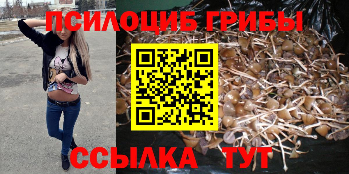 Галлюциногенные грибы мицелий Людиново