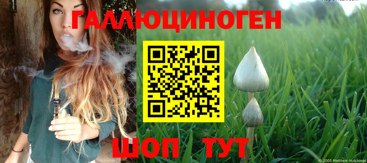 Галлюциногенные грибы GOLDEN TEACHER  Вход с VPN  закладка  Людиново  Псилоцибиновые грибы прущие грибы 